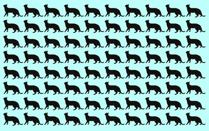 Desafio visual para encontrar o gato que difere dos demais em meio a várias silhuetas idênticas. Desafio visual com várias silhuetas pretas de gatos em fundo azul, uma é diferente das outras