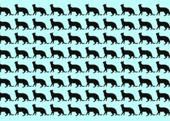 Desafio visual com várias silhuetas pretas de gatos em fundo azul, uma é diferente das outras