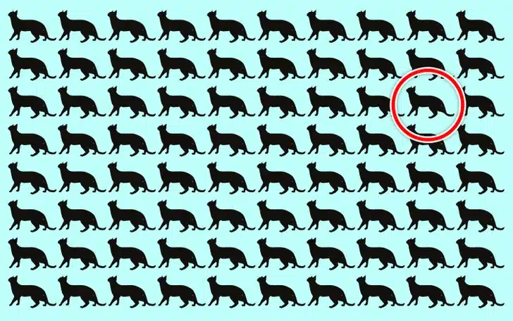 Jogo de encontrar gato diferente entre silhuetas Desafio visual com várias silhuetas pretas de gatos em fundo azul, uma é diferente das outras