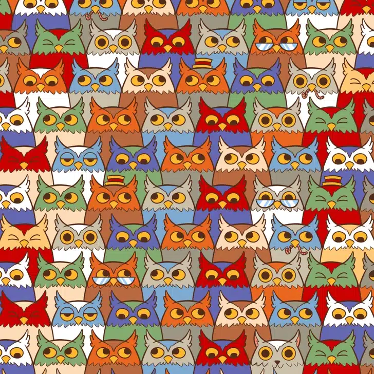 Ache o gato escondido entre as corujas em diversas cores. Desfio visual com corujas desenhadas em várias cores e estilos com diferentes expressões faciais.