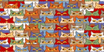 Desfio visual com corujas desenhadas em várias cores e estilos com diferentes expressões faciais.