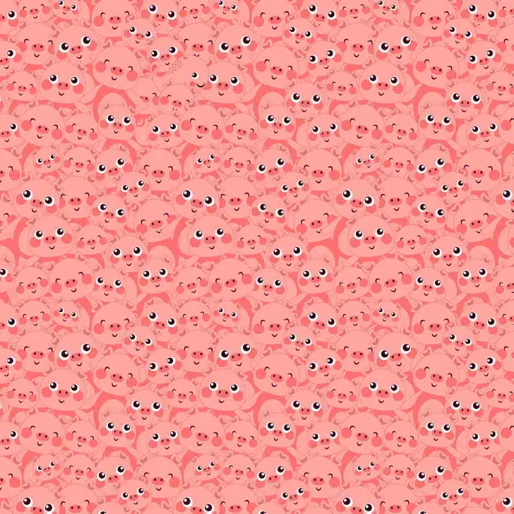 Encontre a baleia entre os inúmeros rostos de porquinhos. Teste visual com muitos rostos de porquinhos cor-de-rosa felizes, com grandes olhos e bochechas rosadas