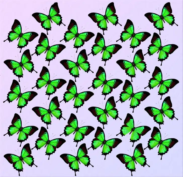 Encontre a borboleta fora do padrão entre várias borboletas verdes. Teste visual com uma imagem de várias borboletas verdes, organizadas de forma regular sobre fundo claro