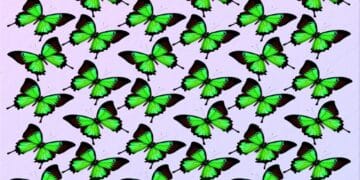Teste visual com uma imagem de várias borboletas verdes, organizadas de forma regular sobre fundo claro