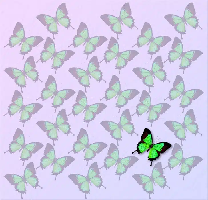 Encontre a borboleta diferente entre as borboletas verdes Teste visual com uma imagem de várias borboletas verdes, organizadas de forma regular sobre fundo claro