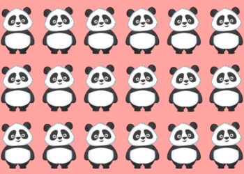 Teste visual com uma ilustração de 18 pandas organizados em três linhas sobre um fundo rosa, com uma variação para ser encontrada.