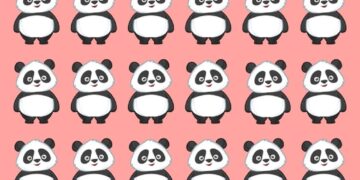 Teste visual com uma ilustração de 18 pandas organizados em três linhas sobre um fundo rosa, com uma variação para ser encontrada.