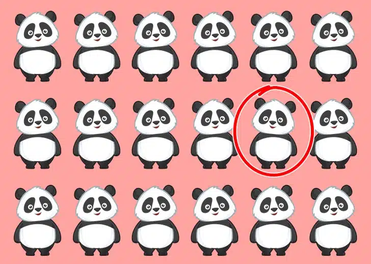 Desafio visual com 18 pandas em fundo rosa Teste visual com uma ilustração de 18 pandas organizados em três linhas sobre um fundo rosa, com uma variação para ser encontrada.