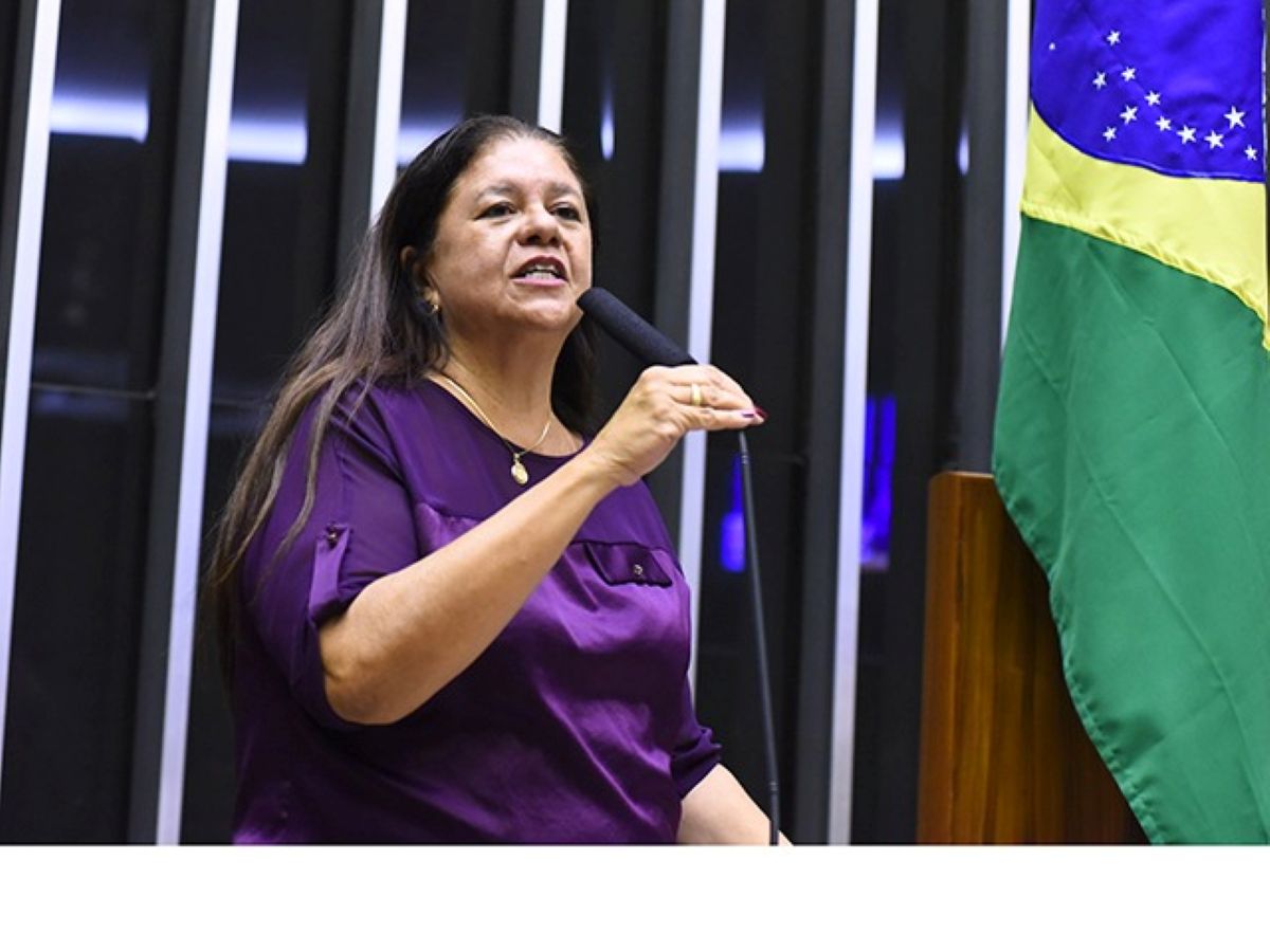 Plano médio da deputada federal Laura Carneiro discursando em um microfone no plenário da Câmara dos Deputados, vestindo uma blusa roxa, com a bandeira do Brasil parcialmente visível à direita.