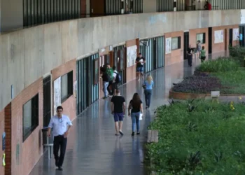 Brasil amplia rede de ensino superior com a criação de três novas universidades federais; conheça as instituições 5 Pessoas caminhando por corredor de universidade.